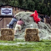 Farma - galeria zdjęć - filmweb