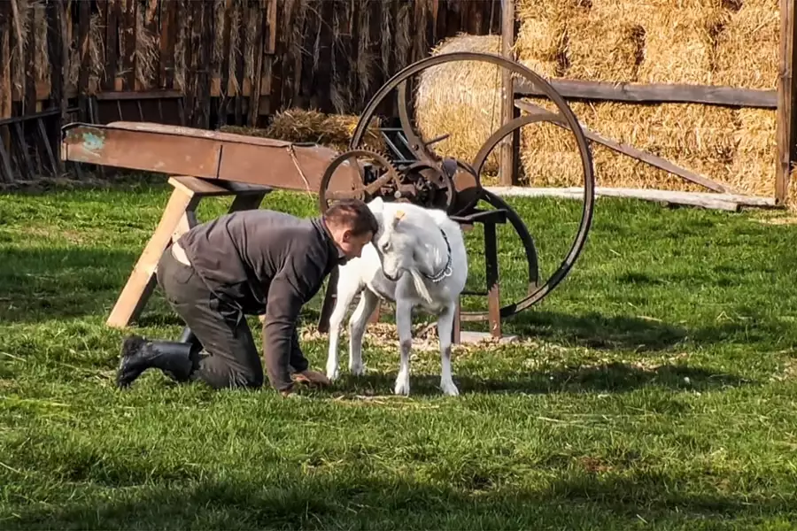 Farma - galeria zdjęć - filmweb