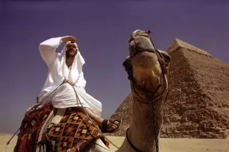 Gdzie jest Osama Bin Laden? - galeria zdjęć - filmweb