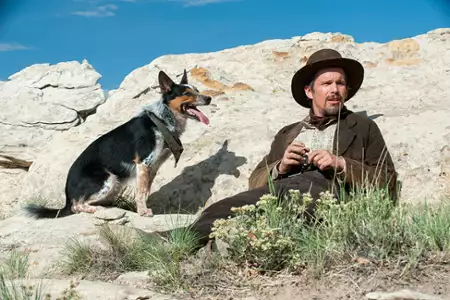 Dolina przemocy - galeria zdjęć - filmweb