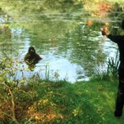 The Last House on the Left - galeria zdjęć - filmweb