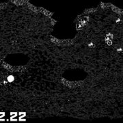 QUICKERFLAK - galeria zdjęć - filmweb