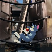 Tom & Jerry - galeria zdjęć - filmweb