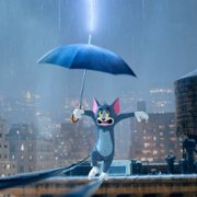 Tom & Jerry - galeria zdjęć - filmweb