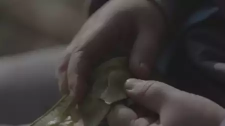 Sarha - galeria zdjęć - filmweb