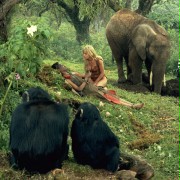 Sheena - królowa dżungli - galeria zdjęć - filmweb