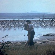 Sheena - galeria zdjęć - filmweb