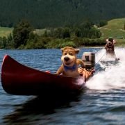 Yogi Bear - galeria zdjęć - filmweb