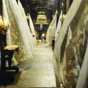 Miłość wilkołaka - galeria zdjęć - filmweb