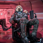 Above the Below - galeria zdjęć - filmweb