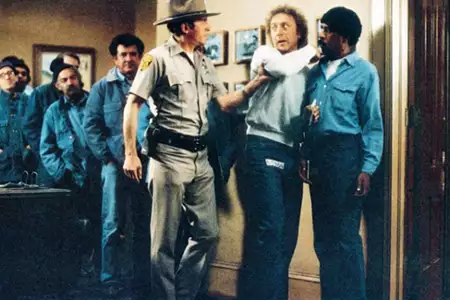 Czyste szaleństwo - galeria zdjęć - filmweb