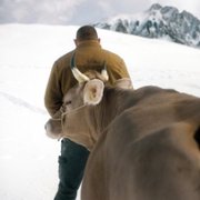 Kawałek nieba - galeria zdjęć - filmweb
