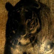 Heart of a Dog - galeria zdjęć - filmweb