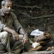 Złoty szlak - galeria zdjęć - filmweb