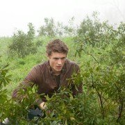 The Host - galeria zdjęć - filmweb