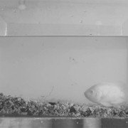 Epokowy projekt - galeria zdjęć - filmweb