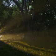 Fable - galeria zdjęć - filmweb