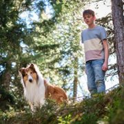 Lassie - Ein neues Abenteuer - galeria zdjęć - filmweb