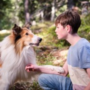 Lassie. Nowe przygody - galeria zdjęć - filmweb