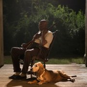 Zakazane imperium - galeria zdjęć - filmweb