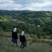Historia przyjacielska
