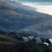 Kumotry - galeria zdjęć - filmweb