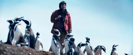 M&oacute;j przyjaciel pingwin - galeria zdjęć - filmweb