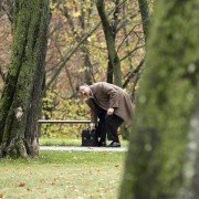 The Assets - galeria zdjęć - filmweb