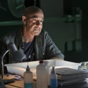 La Fortuna - galeria zdjęć - filmweb