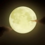 Shingetsutan Tsukihime - galeria zdjęć