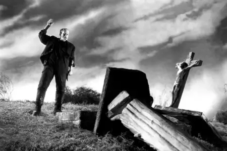 Narzeczona Frankensteina - galeria zdjęć - filmweb