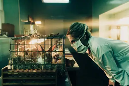 Czarna śmierć - galeria zdjęć - filmweb