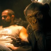 The Umbrella Academy - galeria zdjęć - filmweb