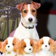 Gae-leul hoom-chi-neun wan-byeok-han bang-beob - galeria zdjęć - filmweb