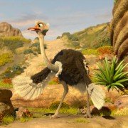 Khumba - galeria zdjęć - filmweb
