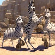 Khumba - galeria zdjęć - filmweb