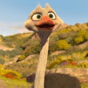Khumba - galeria zdjęć - filmweb