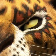 Kumba - galeria zdjęć - filmweb