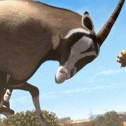 Khumba - galeria zdjęć - filmweb