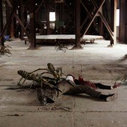 Krwiożercze pająki - galeria zdjęć - filmweb