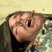 Camel Spiders - galeria zdjęć - filmweb