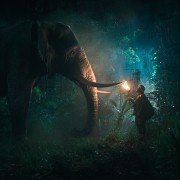 Jumanji: Welcome to the Jungle - galeria zdjęć - filmweb