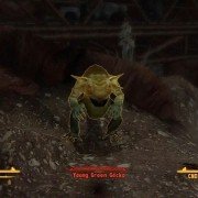 Fallout: New Vegas - Honest Hearts - galeria zdjęć - filmweb
