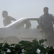Metri Shesh Va Nim - galeria zdjęć - filmweb