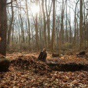 The Path - galeria zdjęć - filmweb