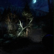 Slender: The Arrival - galeria zdjęć - filmweb