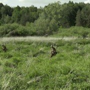 Reduta. Góry Borowskie - galeria zdjęć - filmweb