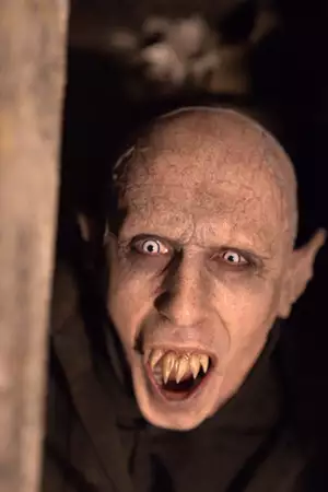 Co robimy w ukryciu - galeria zdjęć - filmweb