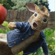 Peter Rabbit - galeria zdjęć - filmweb