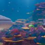 Vincent. Legenda oceanu - galeria zdjęć